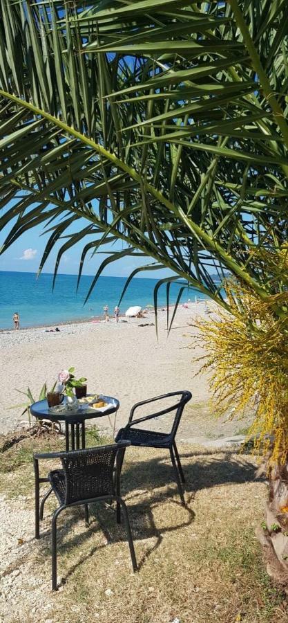 Leon Beach Hotel New Athos المظهر الخارجي الصورة